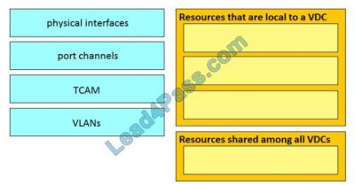 300-610 Sample Questions Pdf